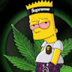 Meet your Posher, Miguel